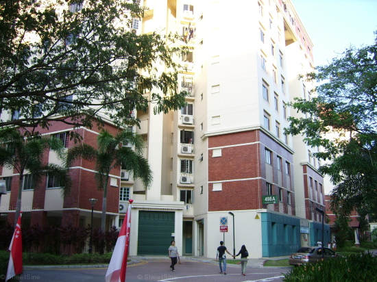 Blk 498A Tampines Street 45 (Tampines), HDB 4 Rooms #102762